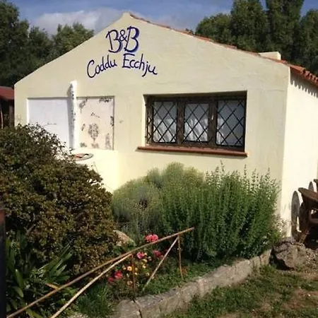 Nocleg ze śniadaniem Codduecchju Arzachena