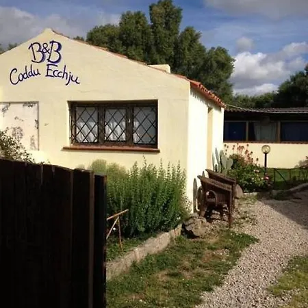 Codduecchju Arzachena